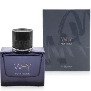Why - Inspired by YSL Y (50ml)